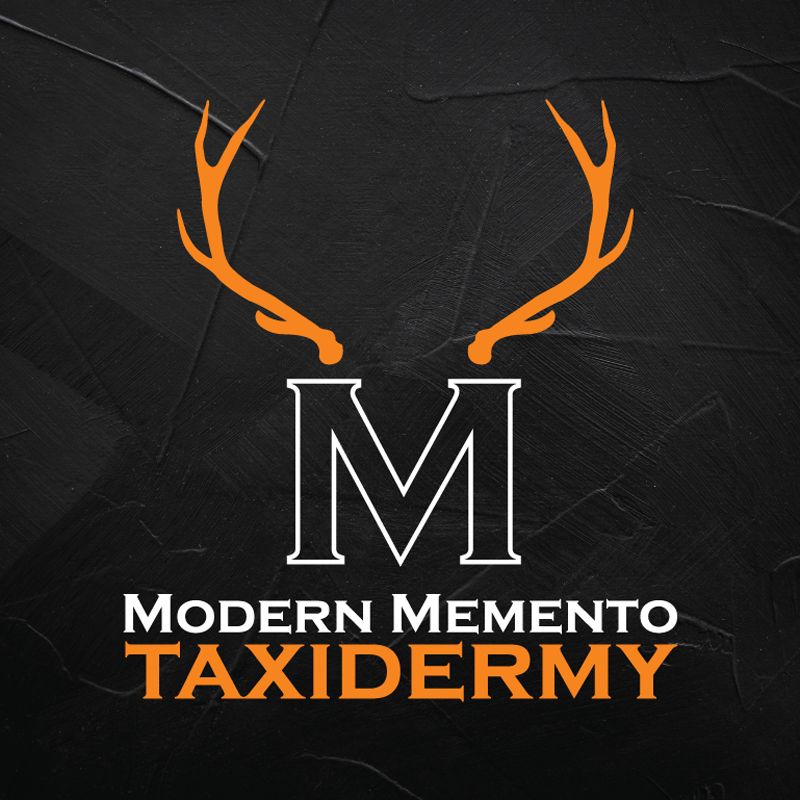 Modern Mento Taxidermy